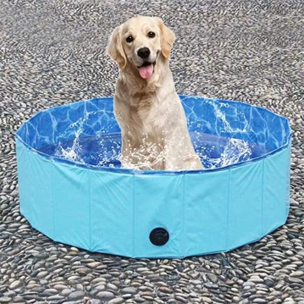 Sammenklappelig PVC Kæledyrspool Mellem 80×20cm Blå til Hund Kat Bad og Leg