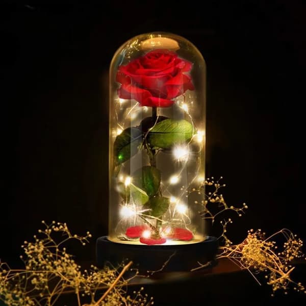 Presentförpackning med konserverad roslampa, glaskupol, LED-ljus, träbas, heminredning