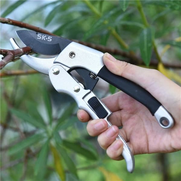 20 cm spärrande städsekatör Cr-V stål fruktträdsgrenklippare 1 st