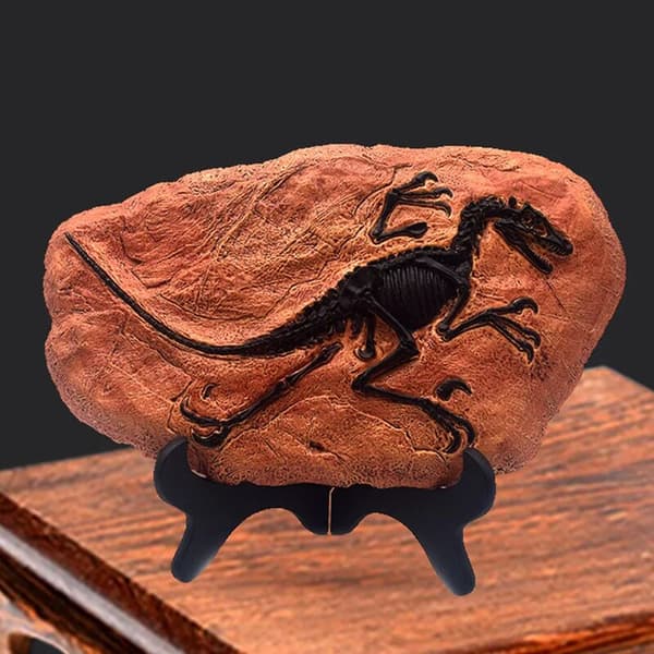 Dinosauriefossil Harts Prydnad Studie Vardagsrumsinredning med Stativ Stil D 1st