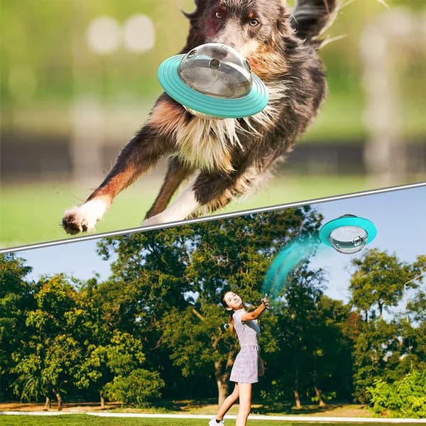 Interaktiv hundegodbitleke 1 stk blå havstil ABS matkvalitet fyll rist