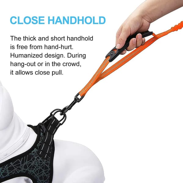 Hundebånd 150 cm Nylon Stor Hund Dobbelt Håndtak Justerbart Bånd (Oransje)