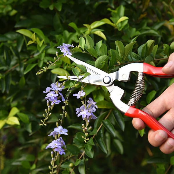 Præcisionslangebladet saks i rustfrit stål til blomster, urter, hydroponics, med stødfjeder, 1 stk.