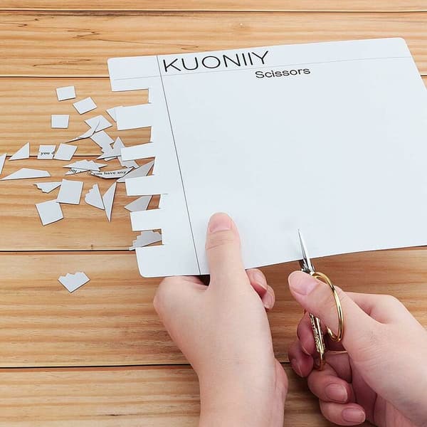 Broderispetsig sax Drake Fenix ~15 cm Precisions-trådklippare 1 st
