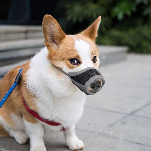 Grå Sort Åndbar Blød Hundemundkurv Størrelse L Mesh-pude Kant Justerbar Nylonrem 1 Stk