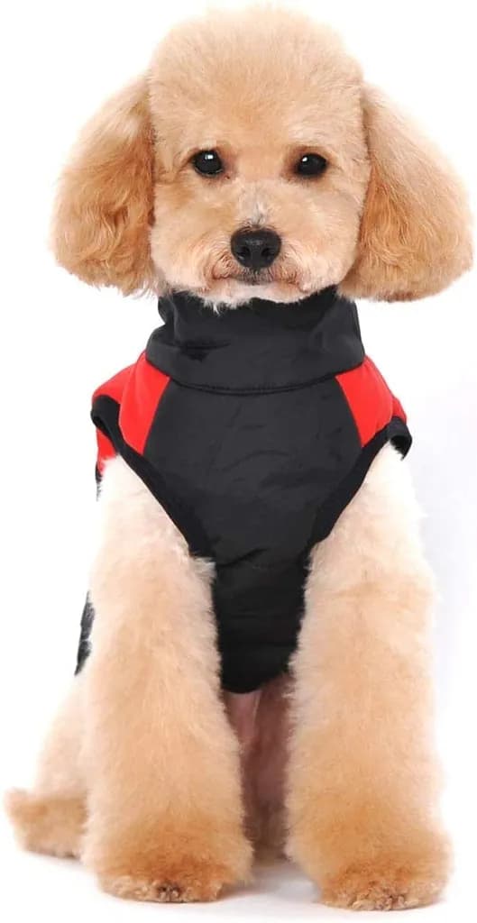 Vandtæt hundevest Vinter Puffer Nylon Polyester Varm Lynlås D-ringe Flere størrelser Kæledyrstøj
