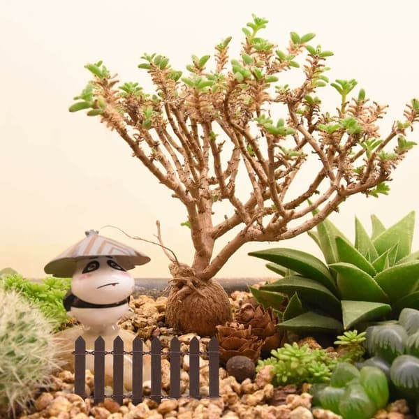 Mini Have Træhegn 100cm Stakit Fehave Bonsai Indretning Brun