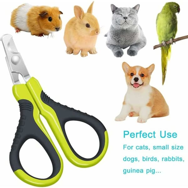 Sorte grønne buede kæledyrs negleklippere Små buede blade til hunde katte trim hjem 1 stk