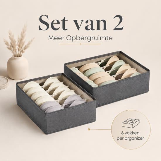 2-pakning BH-organisering 6 rom 32x32x11cm Grå