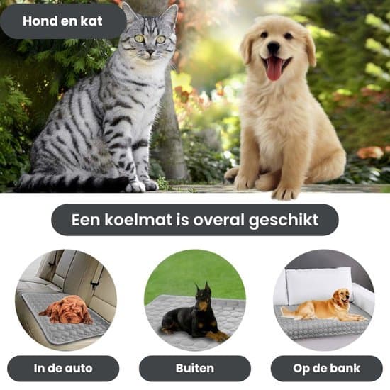 70 x 55 cm kølemåtte Koeldeken Voor Hond