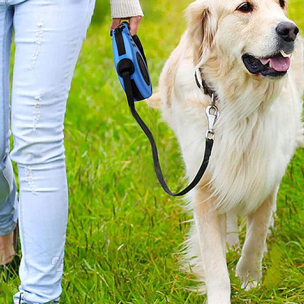 Blått 5M infällbart hundkoppel Blått skal Svart handtag Benmönster 5 meter koppel 1 st