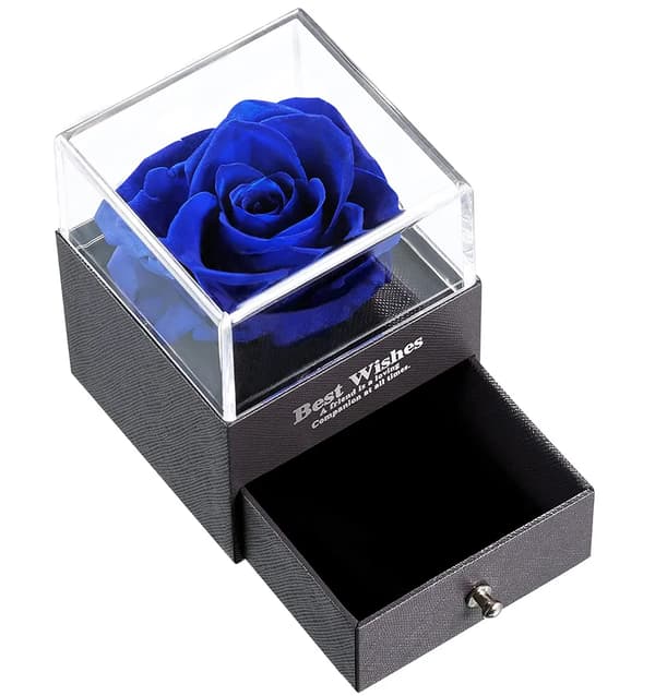 Konserverad Ros Prydnad Presentförpackning 8x8x10cm Röd Blå Smyckeskrin Ingen Halsband