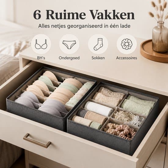 2-pak bh-organizer 6 rum 32x32x11cm grå