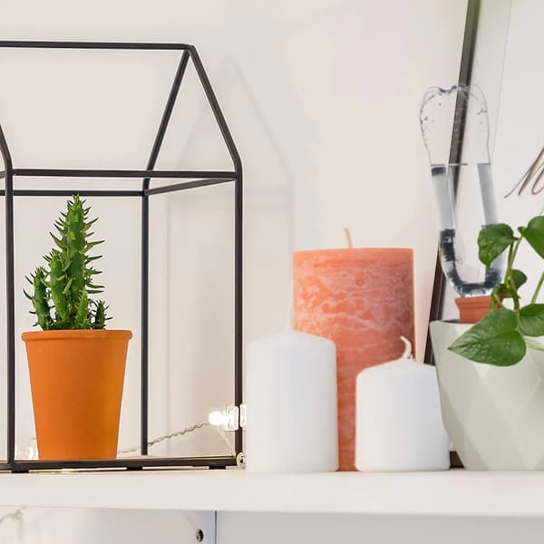 Keramisk selvvandingssystem til planter, 4-pak Ceramic Plant Self