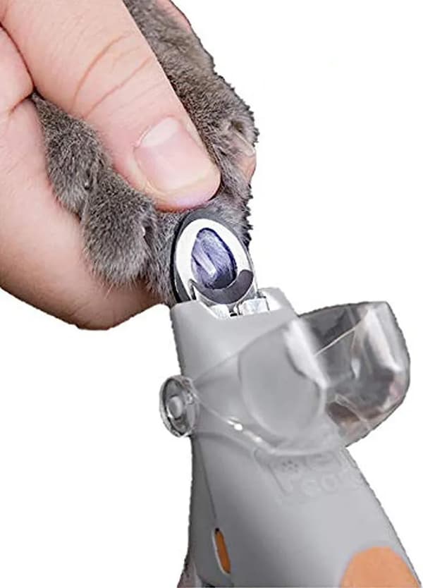 LED Husdjursnagelklippare Katt Hund Tass Trimmer Snabb Sensor Skydd Stänk Orange Grå 15cm 1st