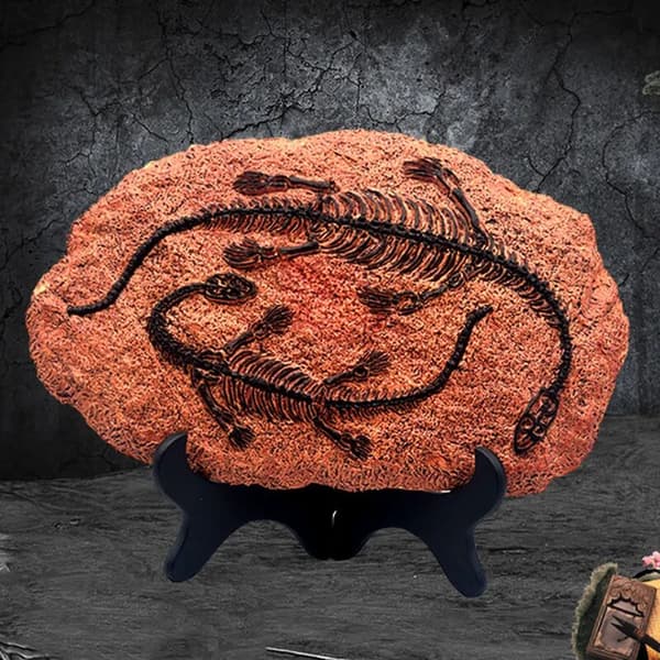 Dinosauriefossil Harts Prydnad Studie Vardagsrumsinredning med Stativ Stil D 1st