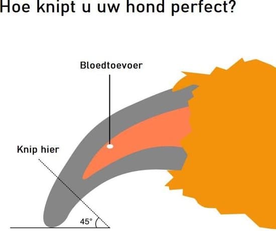 Kæledyrsnegleklipper med fil, sikkerhedslås, til hunde og katte