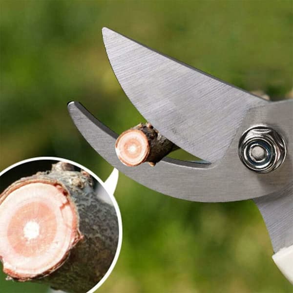 Bonsai beskjæringssaks buet blad rustfritt stål sikkerhetslås 2 stk