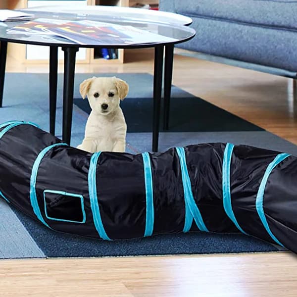S-formet kæledyrs legetunnel foldbar 122x25cm kat hund kanin smådyrslegetøj