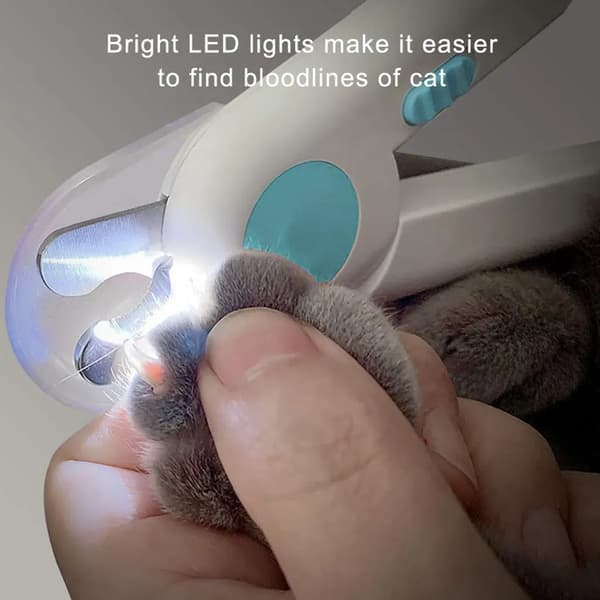 LED-klosax för hundar och katter
