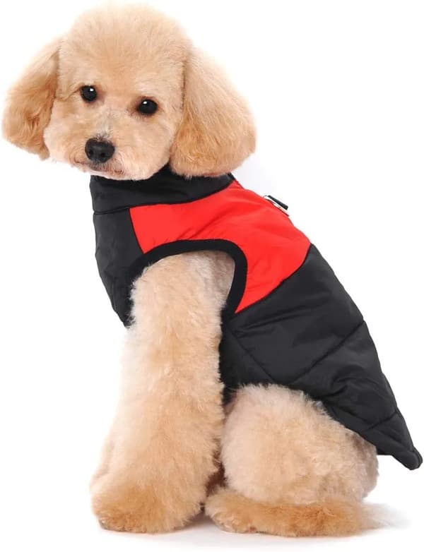 Vandtæt hundevest Vinter Puffer Nylon Polyester Varm Lynlås D-ringe Flere størrelser Kæledyrstøj