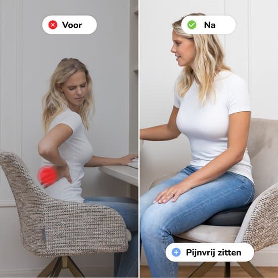 Mørkegrå setepute - Ergonomisk støtte for bil, kontorstol og sofa Alyze Donut kussen