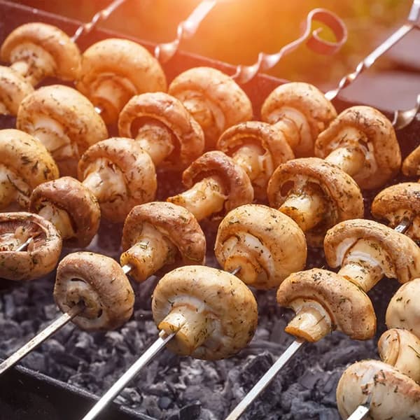 BBQ Spyd 10-pak Rustfrit Stål Flade Pinde Kompatible med Camping Grillplader