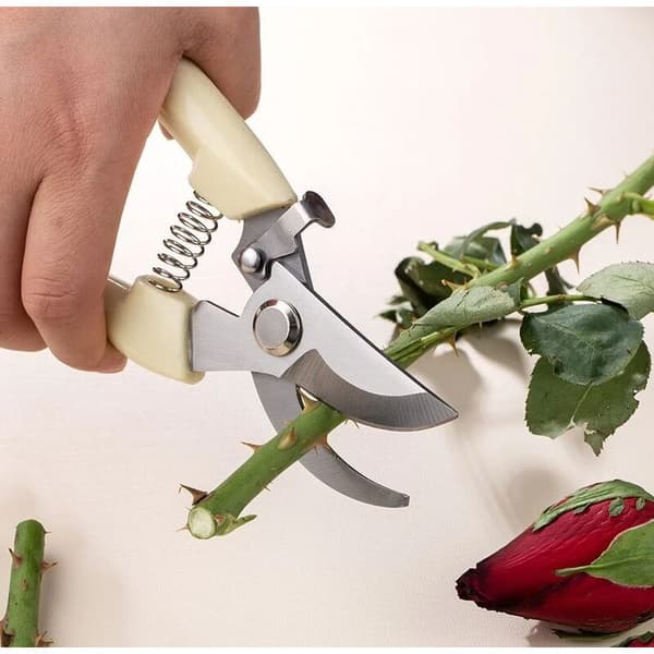 Rustfri beskæresaks fugleform PP-greb til blomster grønt bonsai ca. 82g 1 stk.
