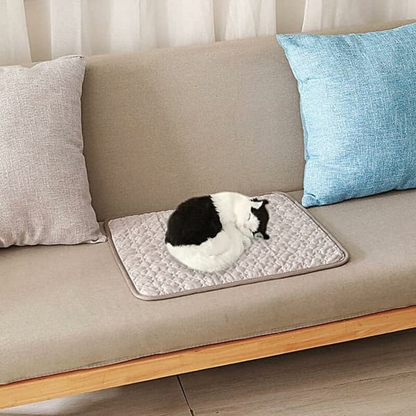 Grå klöver husdjurskylmatta S Klöver quiltad dyna Mörkgrå kant Storlek S 1 st