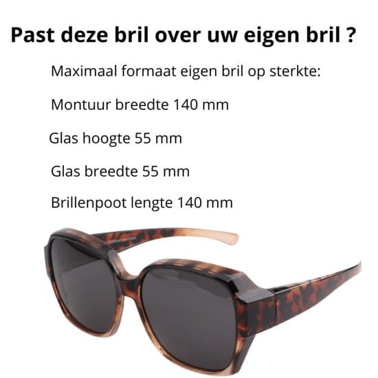 Store solbriller - Brun Panter - Polariserede - Anti-reflekterende linser Overzet zonnebril dames