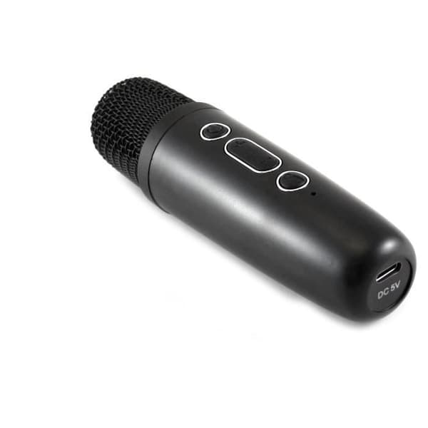 Karaoke-kaiutin + langaton mikrofoni - Bluetooth - Valaistu