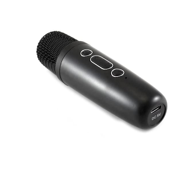 Karaokehøjttaler + trådløs mikrofon - Bluetooth - Belyst