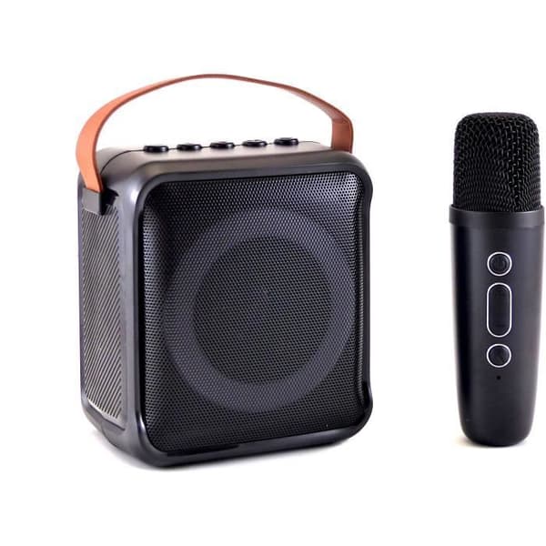 Karaoke-kaiutin + langaton mikrofoni - Bluetooth - Valaistu