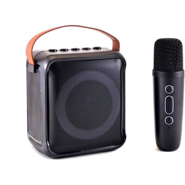 Karaokehøjttaler + trådløs mikrofon - Bluetooth - Belyst