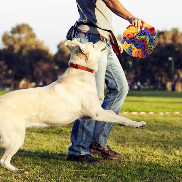 Snusmatta för hundar, interaktiv hundleksaksboll, hund