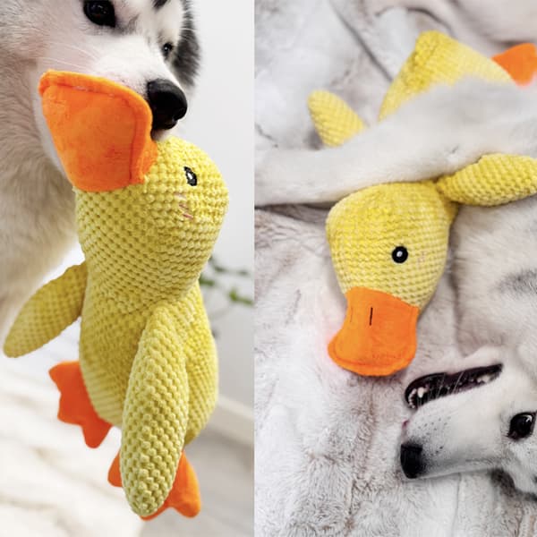 Mellow Dog Beroligende And - Holdbart Kvidrende Hundelegetøj 32cm
