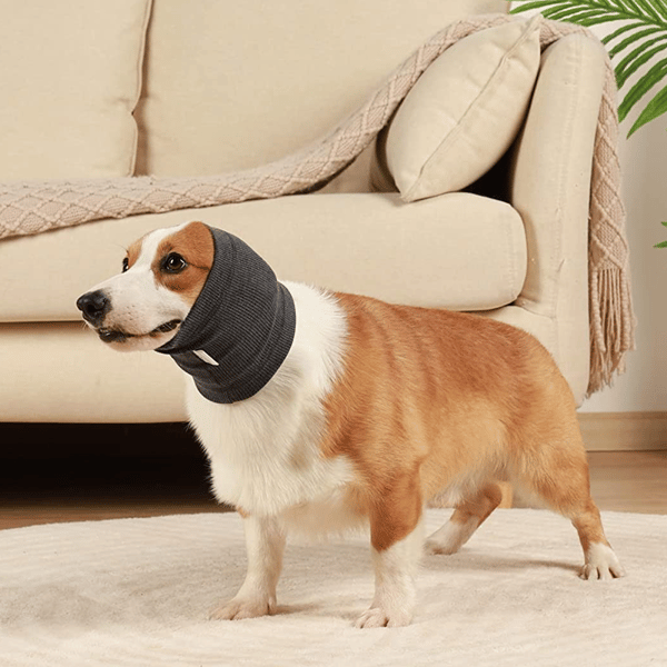 Den originale Happy Hoodie til hunde og katte - Grooming og L