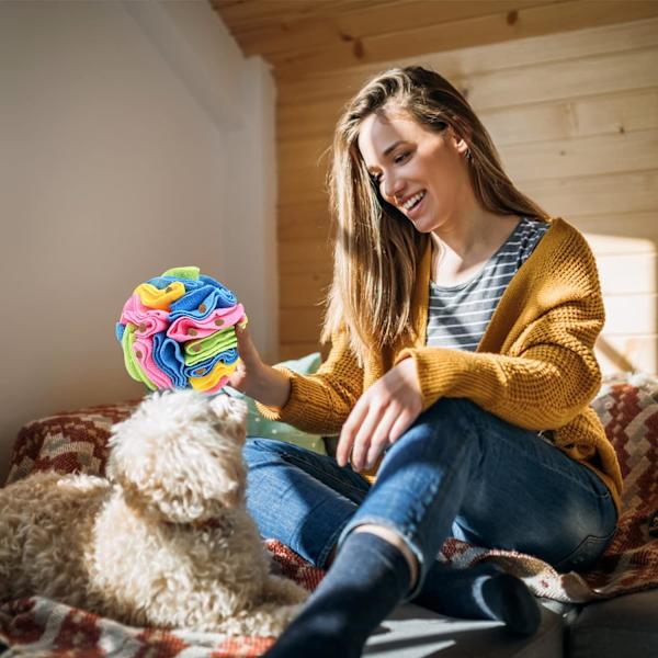 Snusemåtte til hunde, interaktiv hundelegetøjsbold, hund
