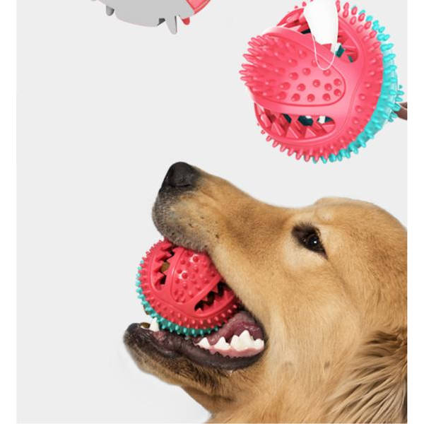 Multifunktionel hund kat sikker elastisk rengøring tænder bold