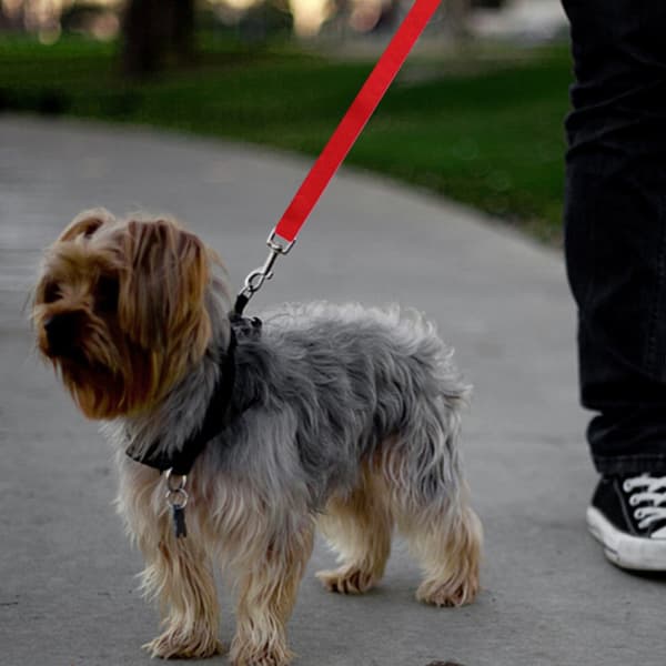 Ny bil säkerhetssele för husdjur Justerbar hundkoppel Red