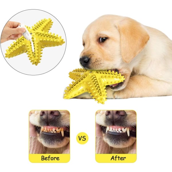 Hundtuggleksak för medelstora små hundar som får valpar，Uppdaterad design 3-i-1 sjöstjärna interaktiv tandborsteleksak