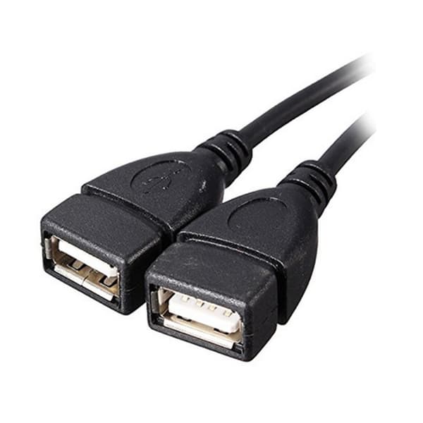 1* USB 2.0 A han til 2 dobbelte hun Jack Y Splitter Hub Power