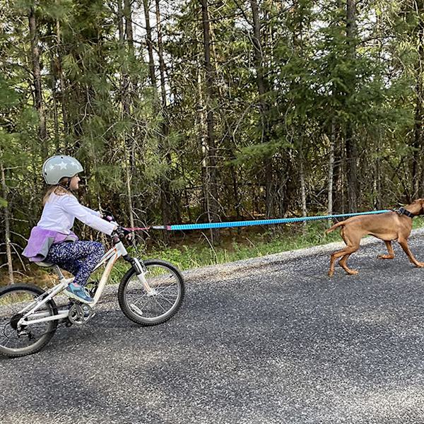 Træktov til børnecykler Elastisk træktov til cykler Blue