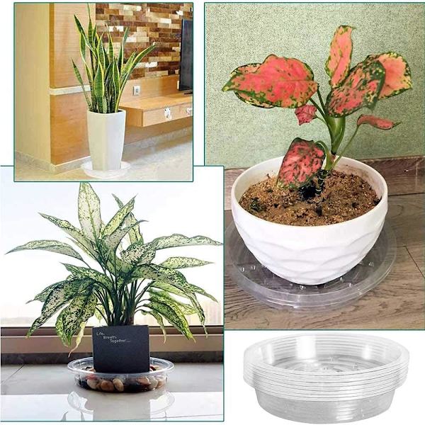 10 stk. transparente plantefade til potter, plastikblomsterfade