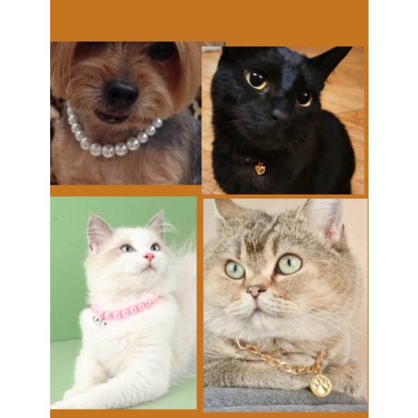 Silver kedja halsband Katt och små hundar bästa vän 22-25 cm