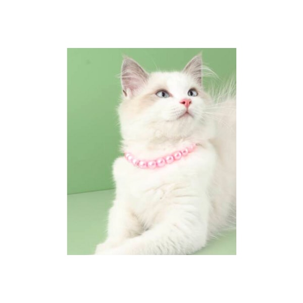 HANDMADE Pärlhalsband Katt present bästa vän små hundar flerfärgad