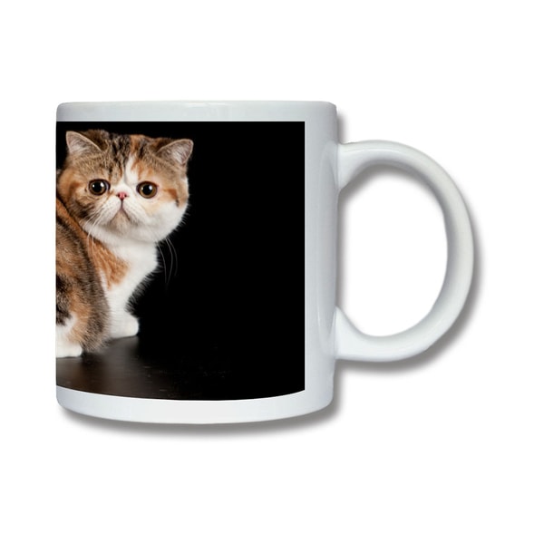 Katt Exotic Mugg multifärg one size