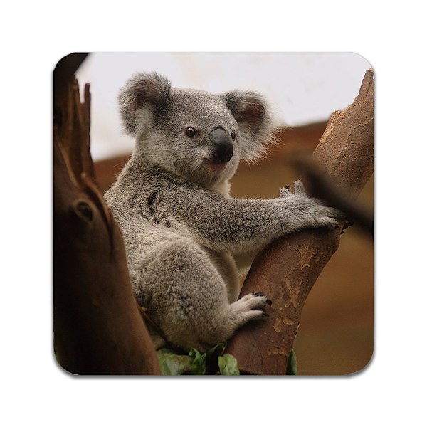 2 ST Koala Underlägg