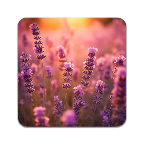 2 ST Blommor Lavendel Underlägg