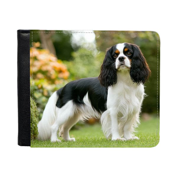 Hund Cavalier King Charles Spaniel Plånbok För Män Med Myntfack